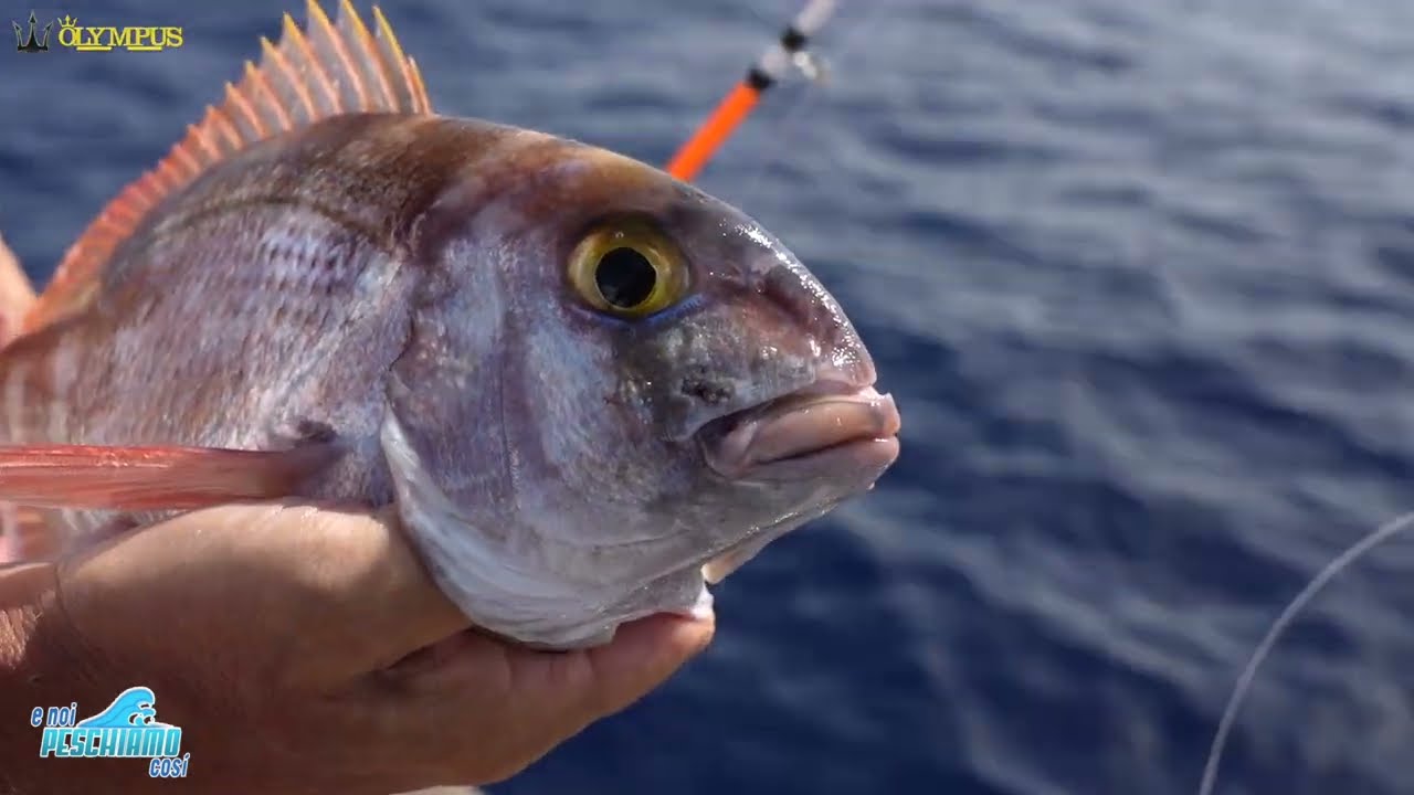 A pesca con gli INCHIKU  