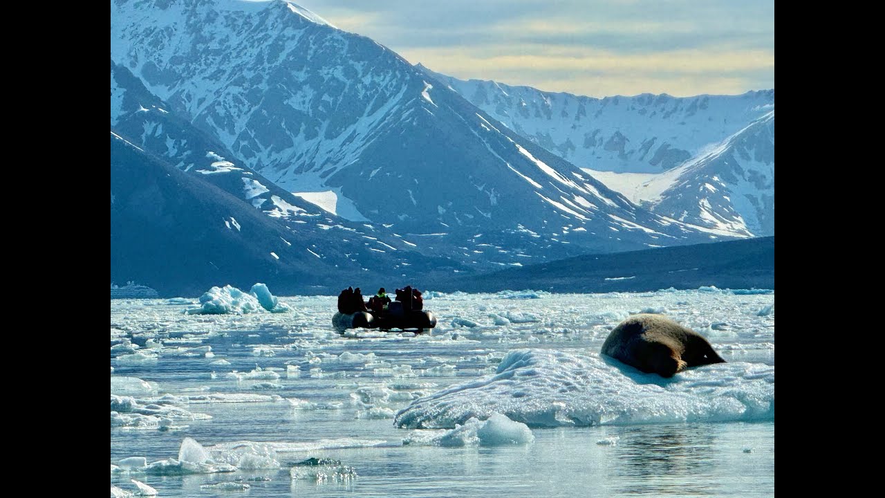 Arctic Longyearbyen to Iceland Silversea  June /July 2025