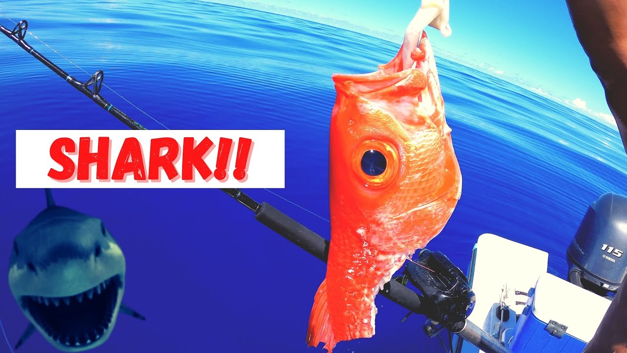 Акула атакует Онагу! {Поймайте и приготовьте} Глубоководная рыбалка на Гуаме
