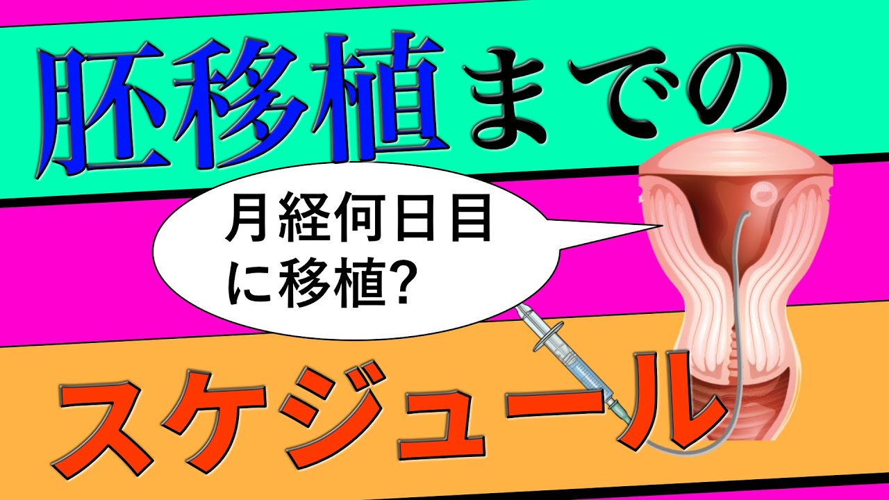 15.3.凍結胚移植のスケジュール 〜自然周期とホルモン補充周期の違いは？〜
