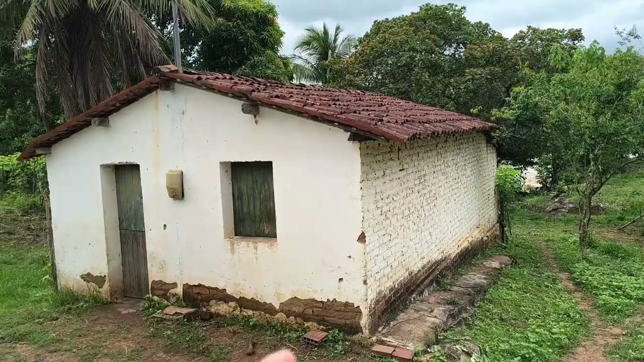 Uma Casinha às margens, do rio Mamanguape PB 