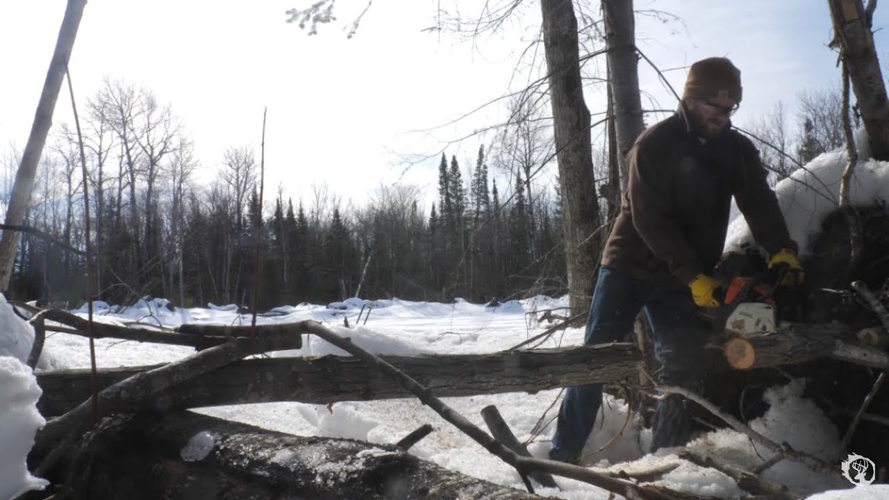 Creating DEER TRAILS on the edge of a FOOD PLOT!