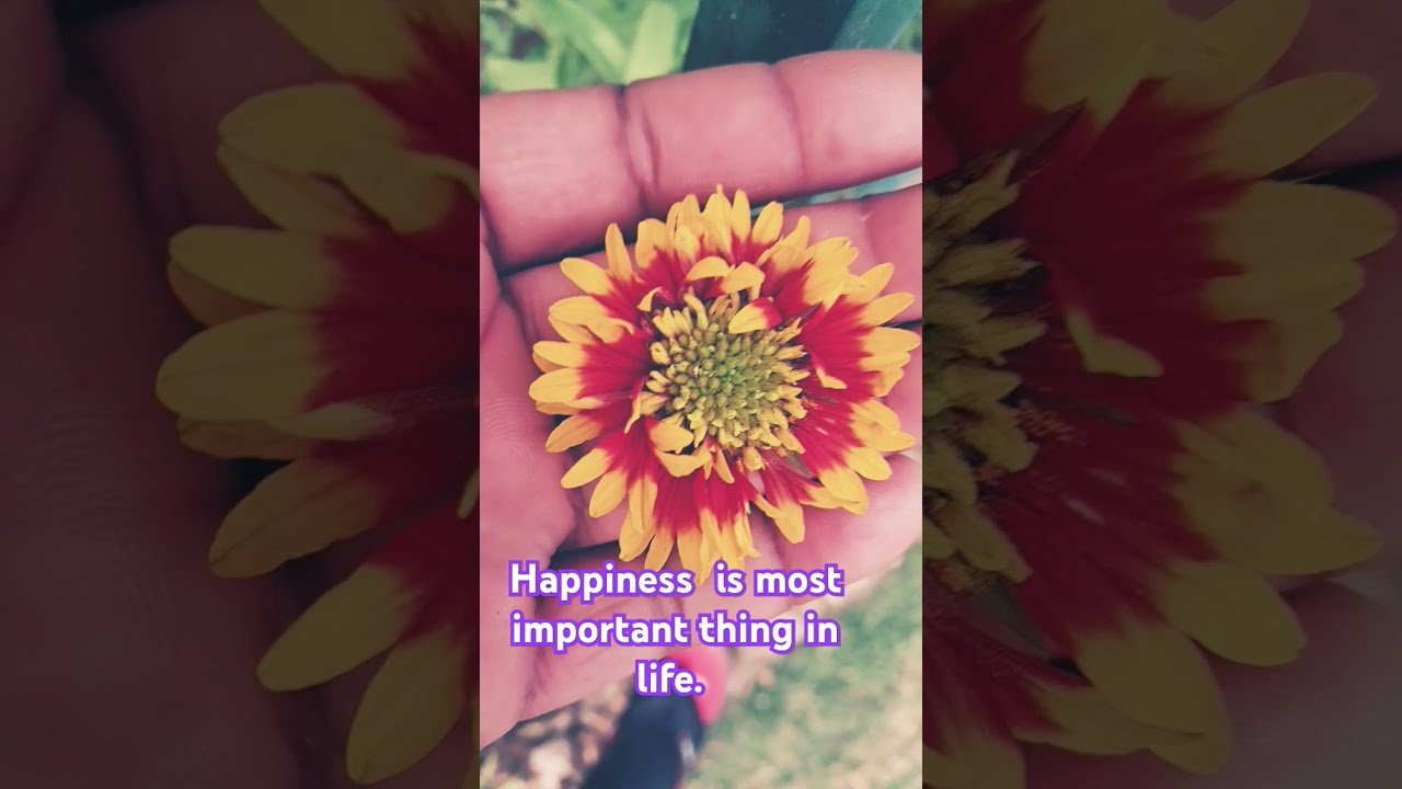 Most  beautiful flower #love #newsong #song #music #dj #flowerworld #lovesongs #nature #loveworldson