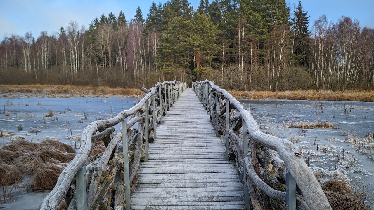 Научная тропа вокруг заболоченного Шумавского озера / Nature trail around the Šumava wetland lake 
