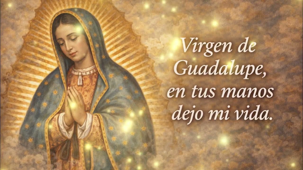 Virgen de Guadalupe, en tus manos dejo mi vida.✨ #viral #videos #oraciondiaria