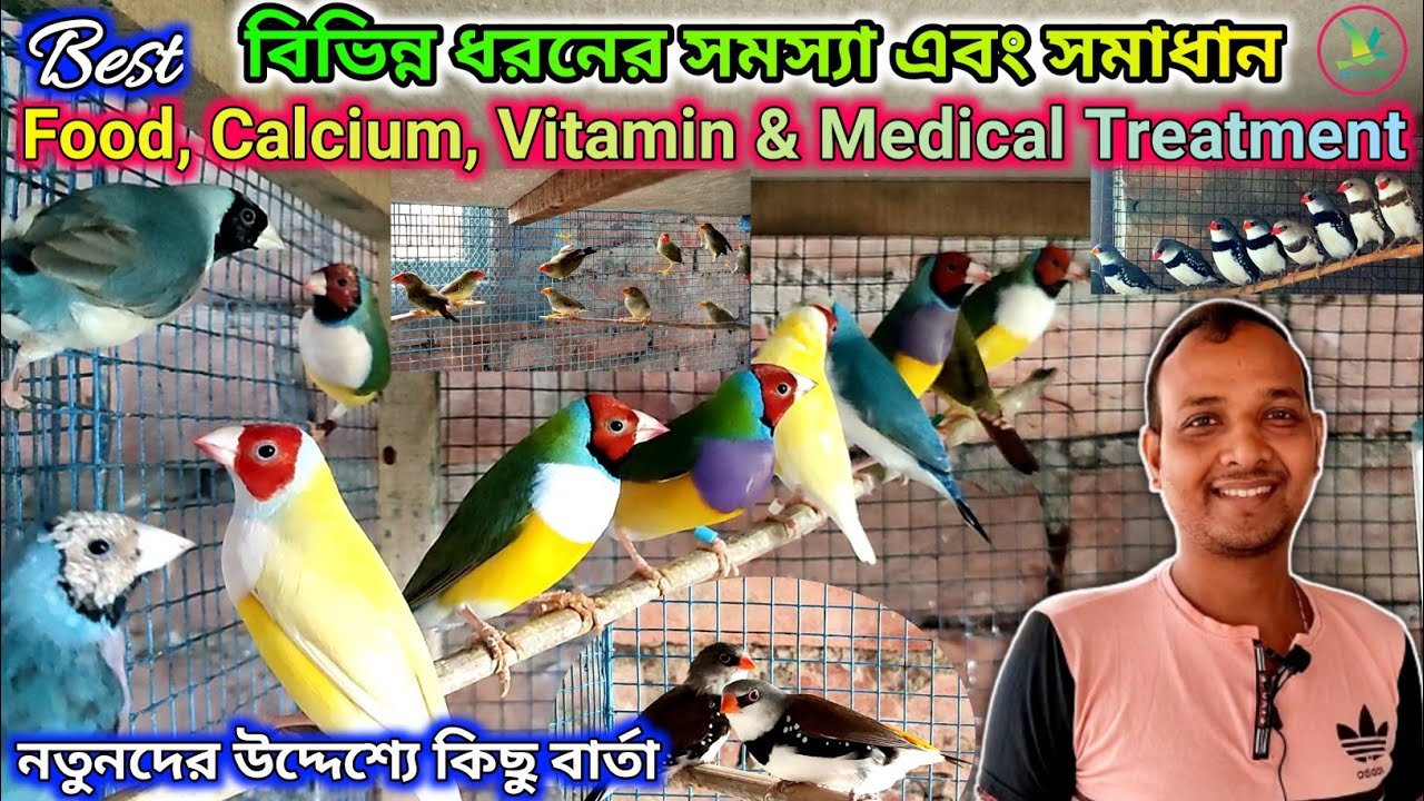 Various Mutations Exotic Finch Birds Breeding Information||KUILA For EVER