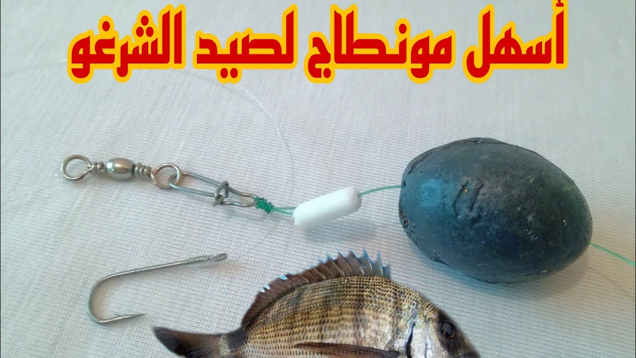 أسهل مونطاج لصيد سمك الشرغو (قوي وفعال ومجرب) montage de pêche sar