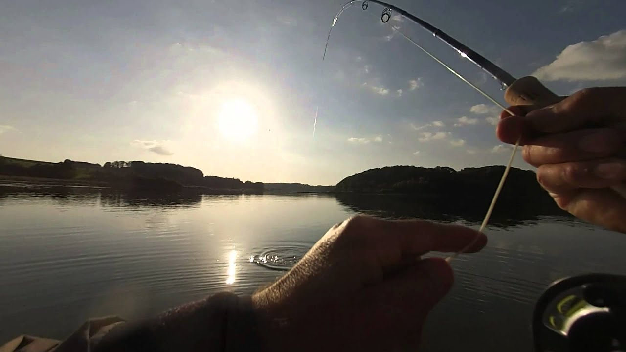 Havørred 010614