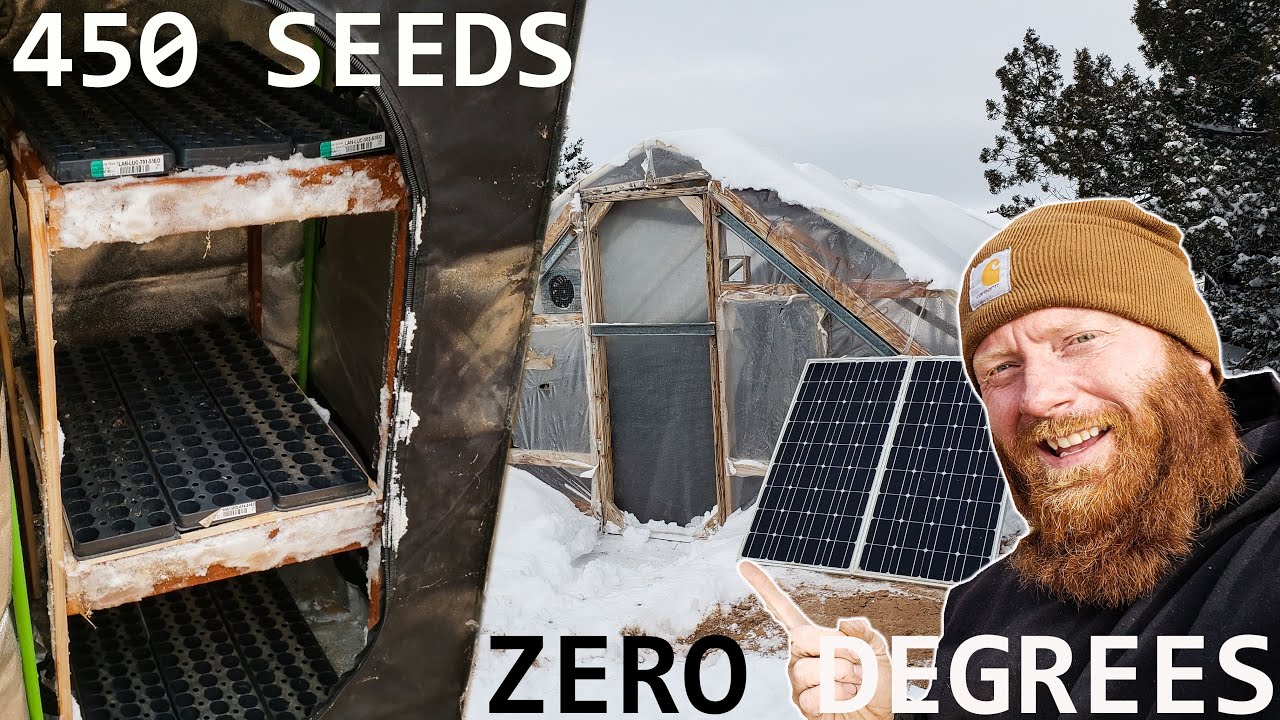 Starting 450 seeds when it's zero degrees