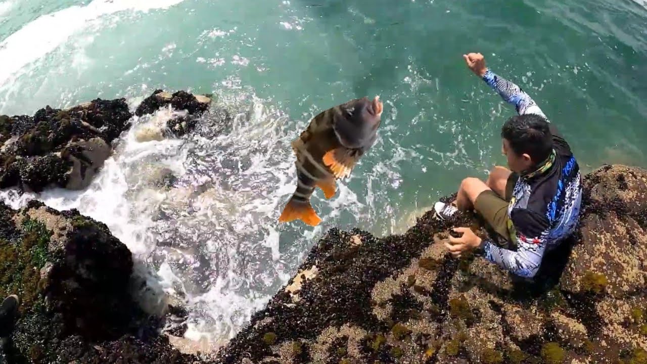 PESCA desde las Peñas de PUNTA LOBOS en Pucusana