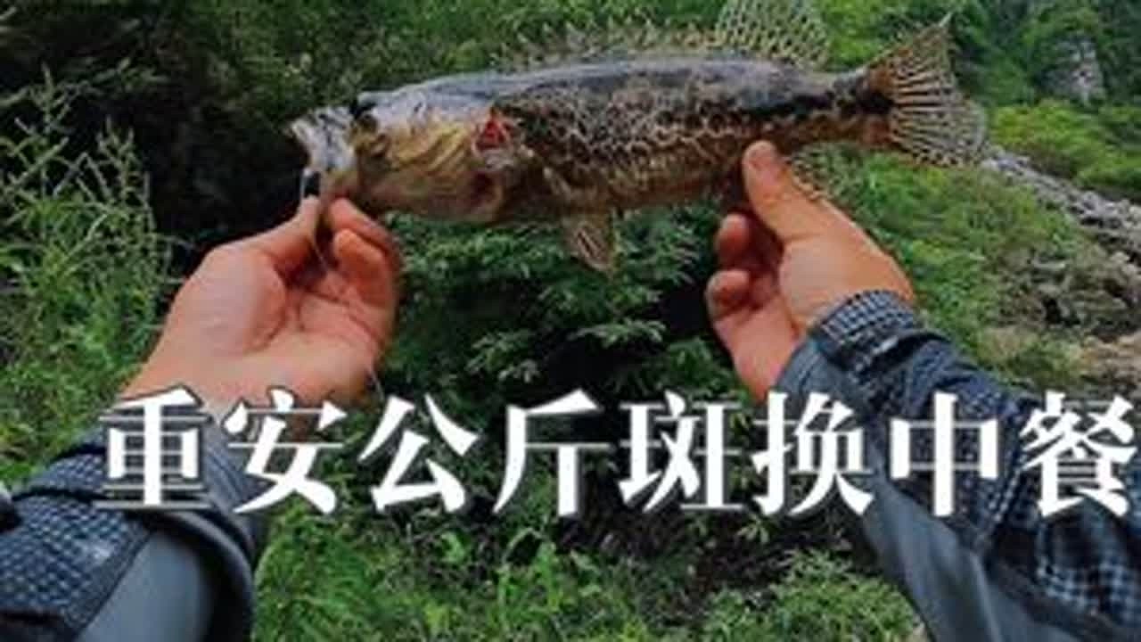 龟蜜这次安排上了哈🤣@小伟路亚 @渣渣杨 @峰无言 #路亚#鱼货换万物 #原来钓鱼才是抖音运动顶流 #路亚鳜鱼
