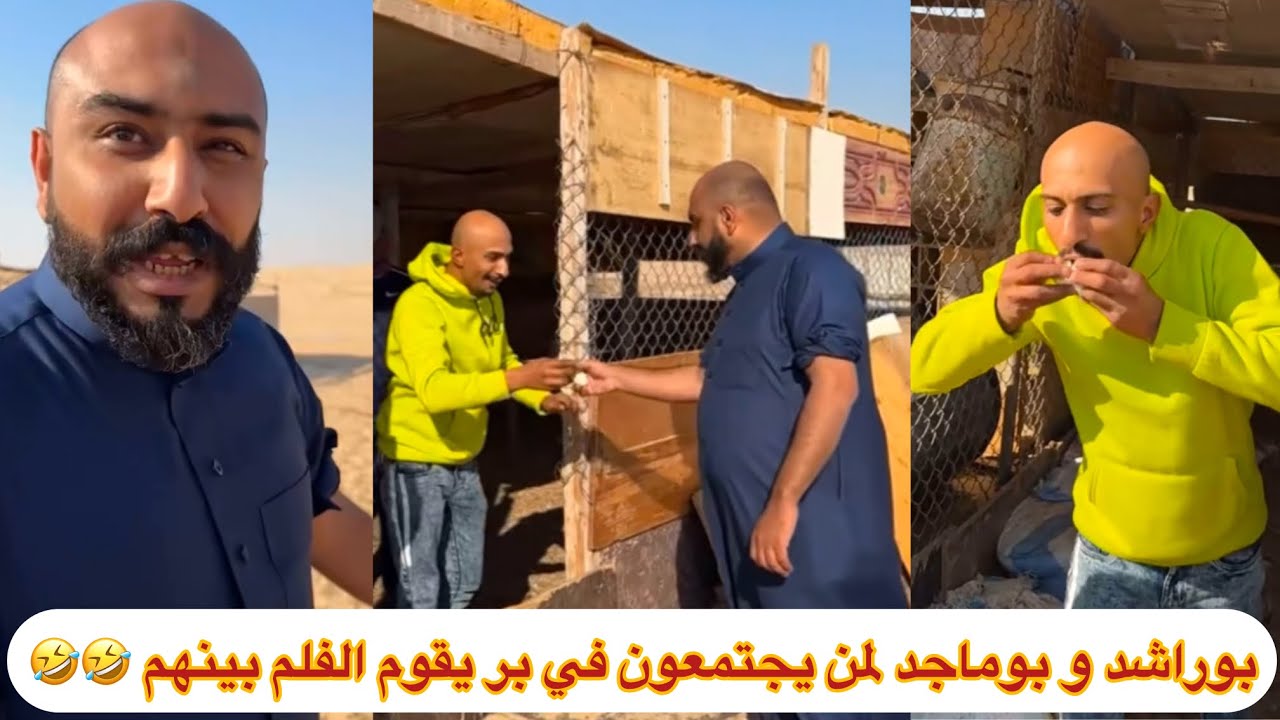 بوراشد و بوماجد لمن يجتمعون في البر يقوم الفلم بينهم 🤣🤣🤣 #ابتاه
