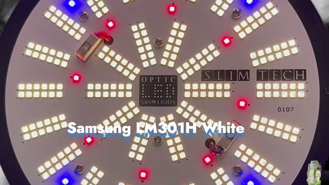 Mid MO Grower - PhatSlim 1XL Dimmable