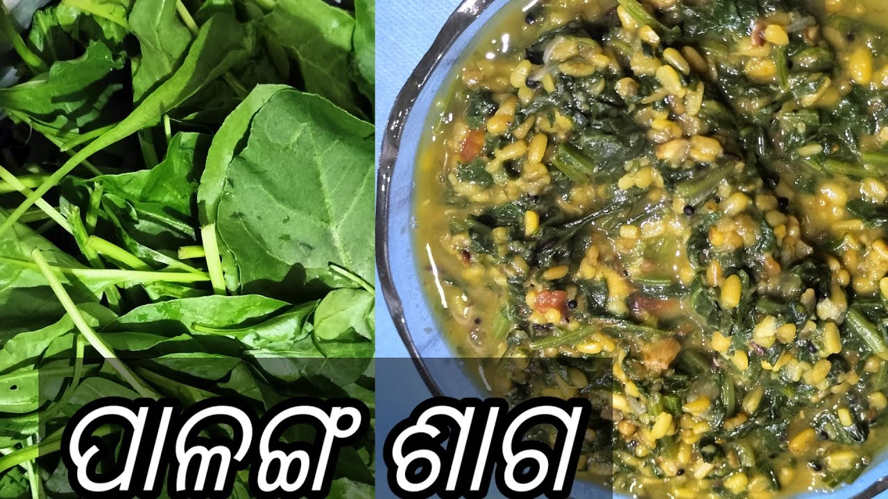 Palanga saga recipe, ପାଳଙ୍ଗ ଶାଗ, @jyotikitchenodia JYOTIS KITCHEN ODIA