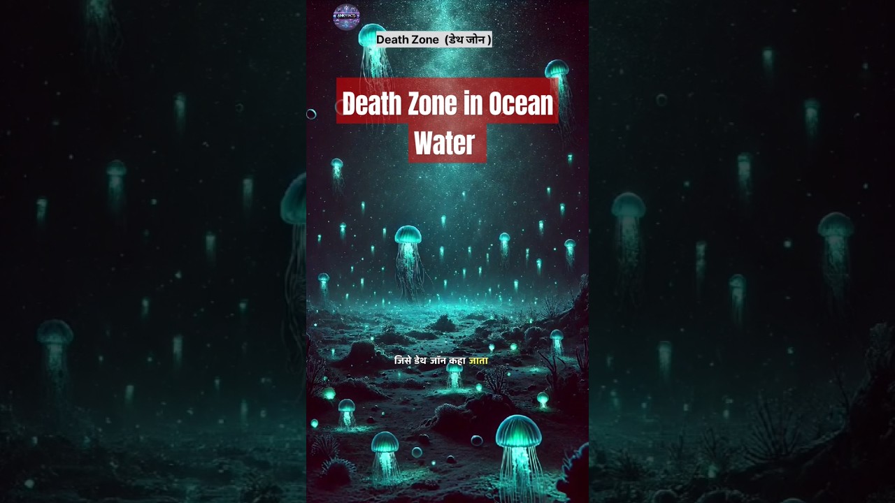 Death Zone in Ocean Water | Aphotic Zone in Ocean Water | Most Dangerous Place in Ocean Water #sea