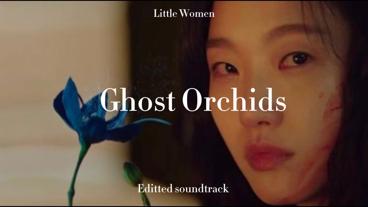 Little Women (작은 아씨들) Ost - Your Apartment MV