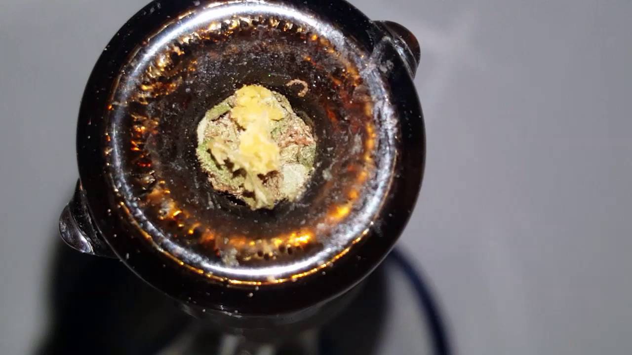 Melt Shot Madness Sesh
