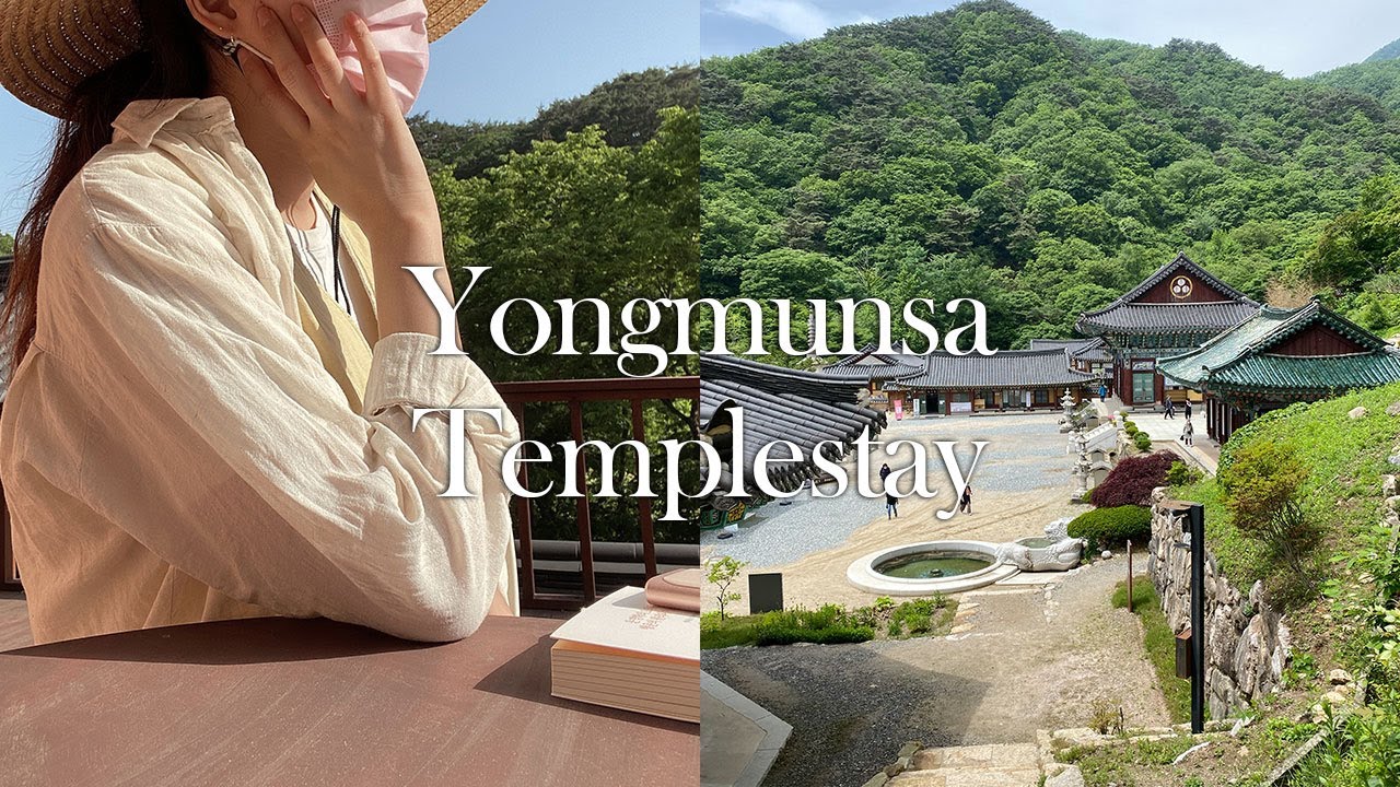 양평 용문사 2박 3일 템플스테이 브이로그 | 나홀로 템플스테이 | Korea Templestay Vlog
