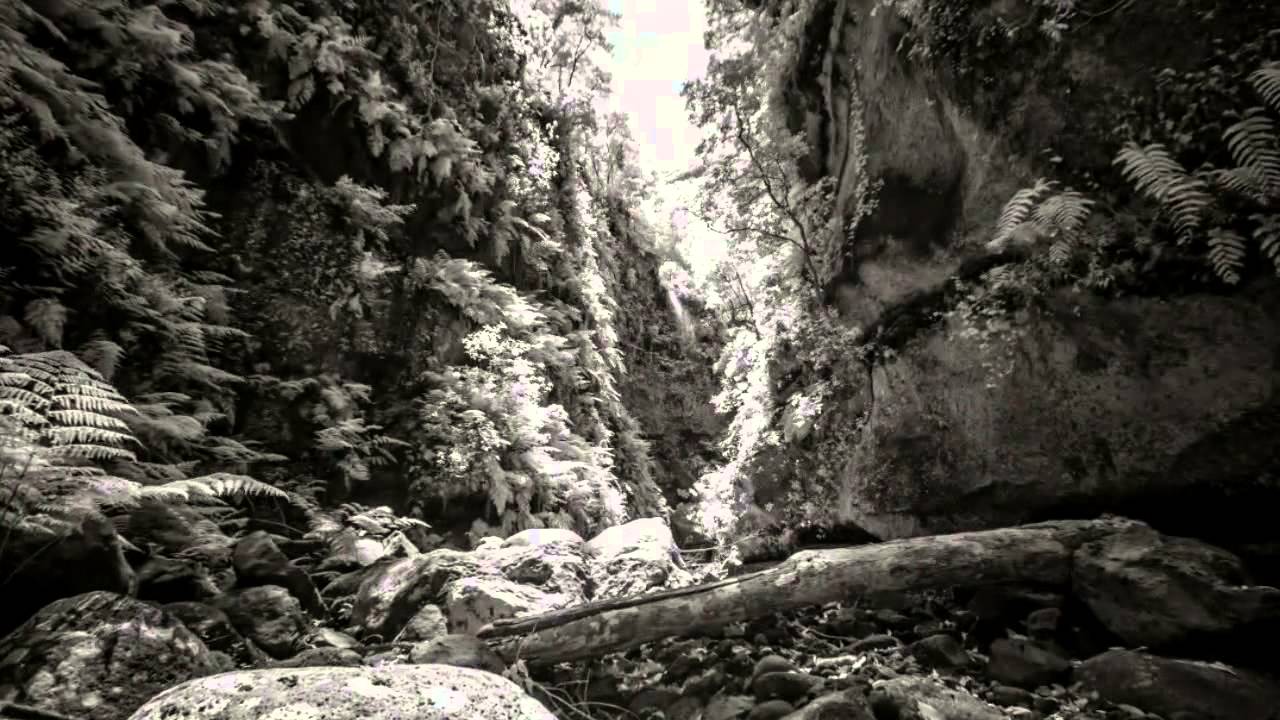 CANCION A MAGDALENA / HD / VIDEO OFICIAL / JULIO ZEGERS