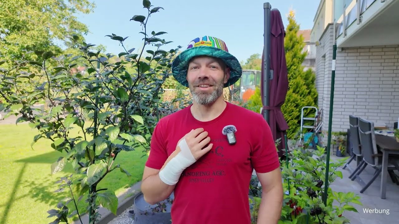 Chiliwelten UNCUT - Stand der Anzucht 2025 Teil 4