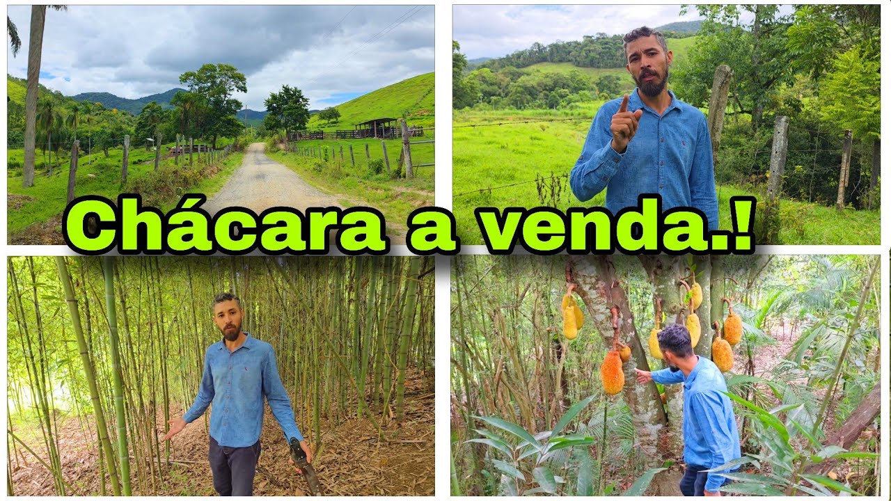 CHÁCARA DISPONÍVEL PRA VENDA !!! EM BARRA DO TURVO SP 