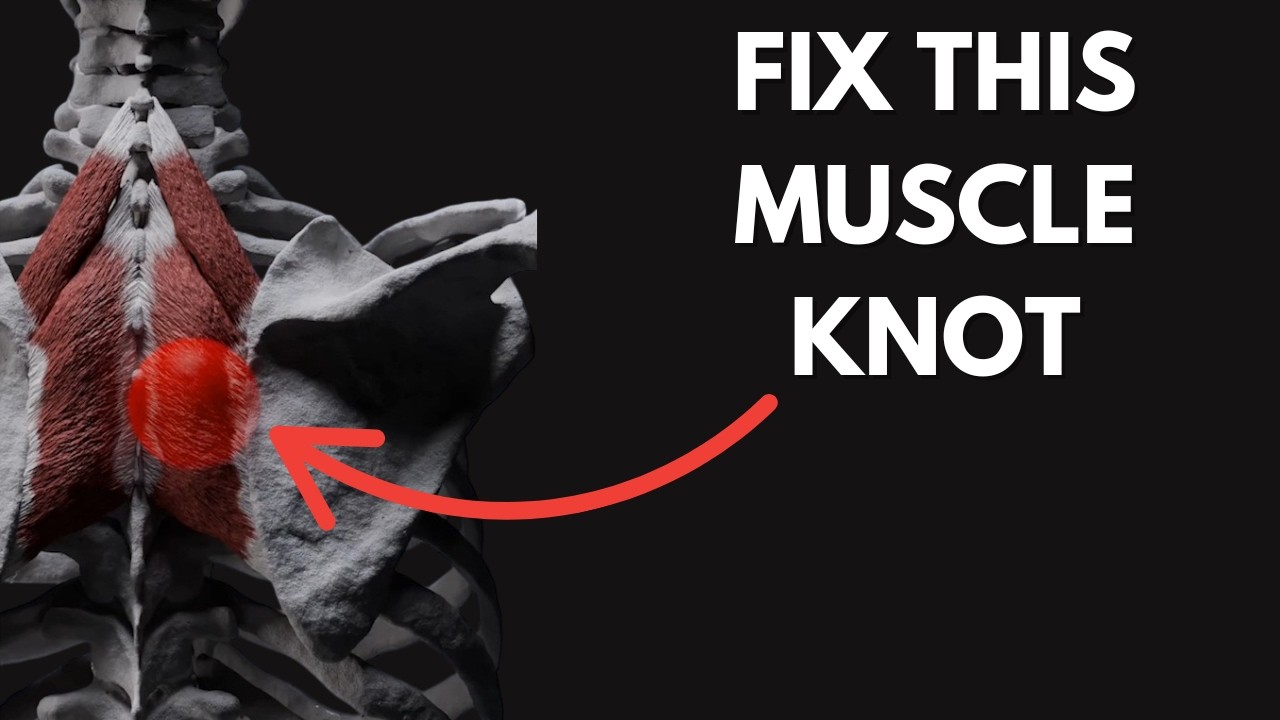 The Best Exercises To FIX Upper Back Muscle Knots & Pain (instant results)