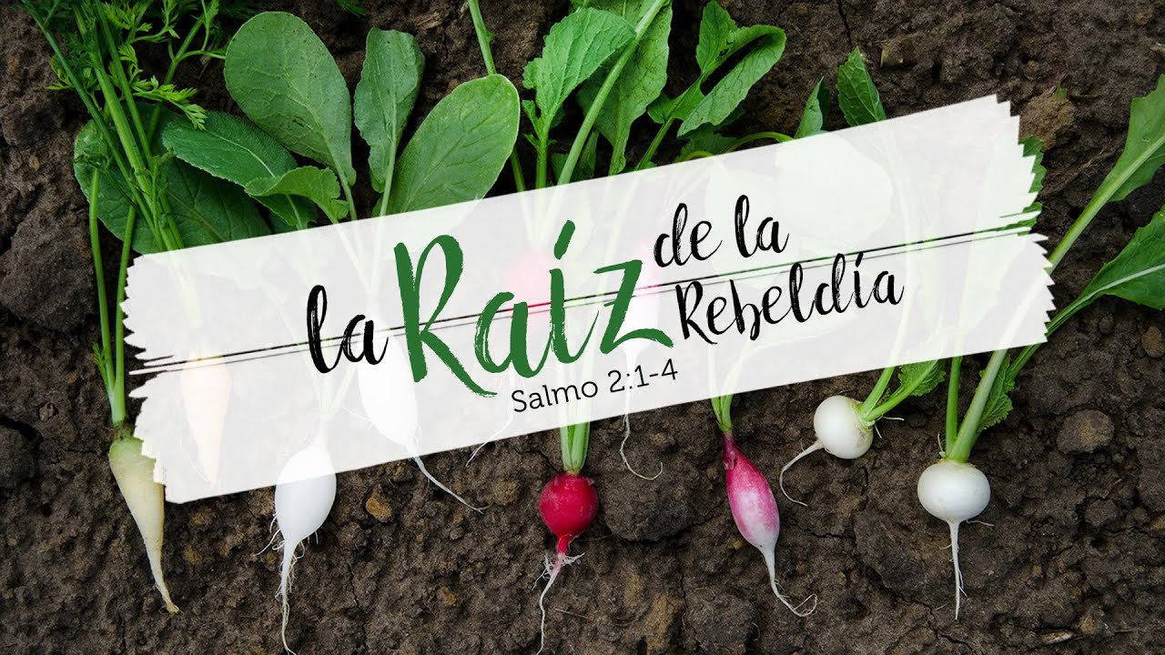 La Raíz de la Rebeldía - Luis Parada