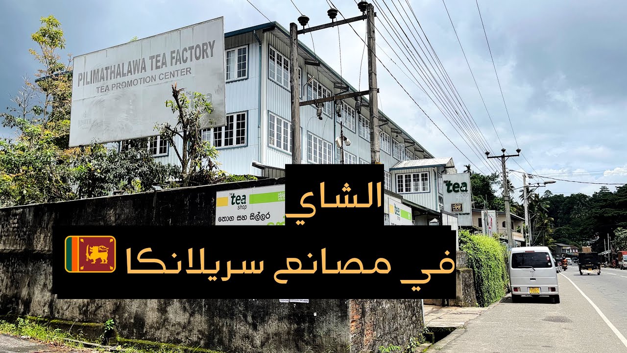 زيارة مصنع شاي pilimathalawa في سريلانكا 🇱🇰