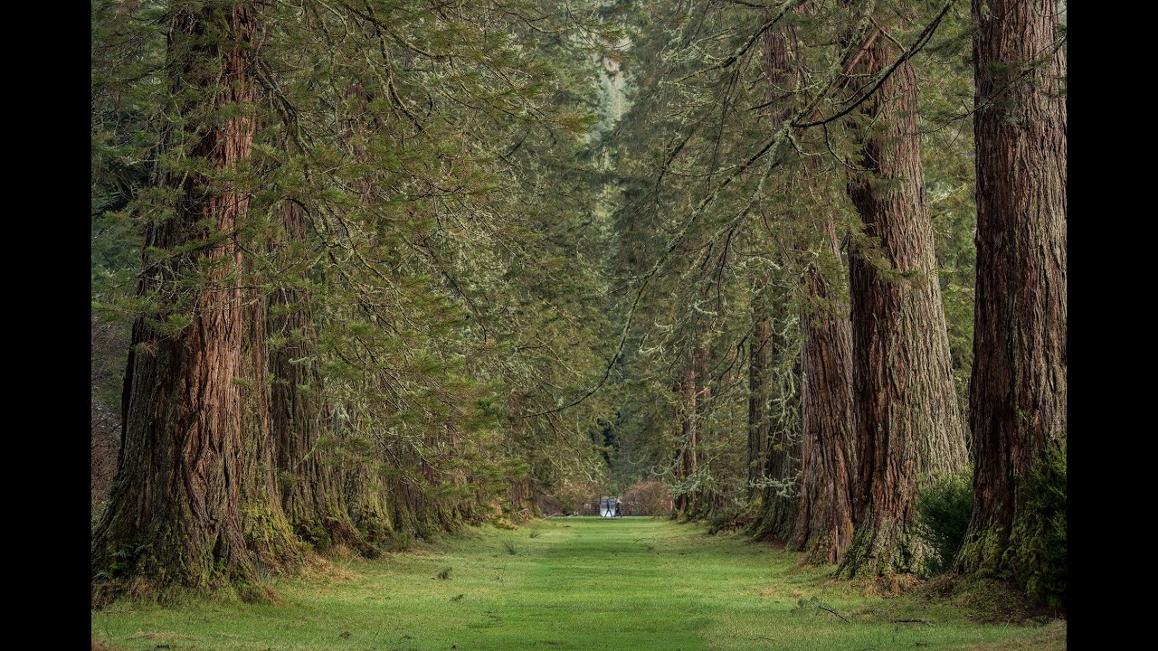 Benmore Gardens Points Of Interest