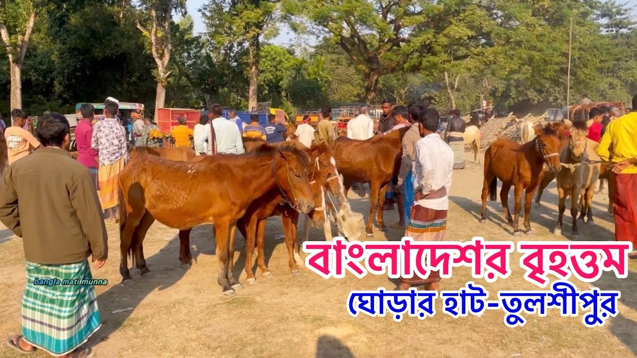 বাংলাদেশর বৃহত্তম ঘোড়ার হাট-তুলশীপুর-হাট/জামালপুর।