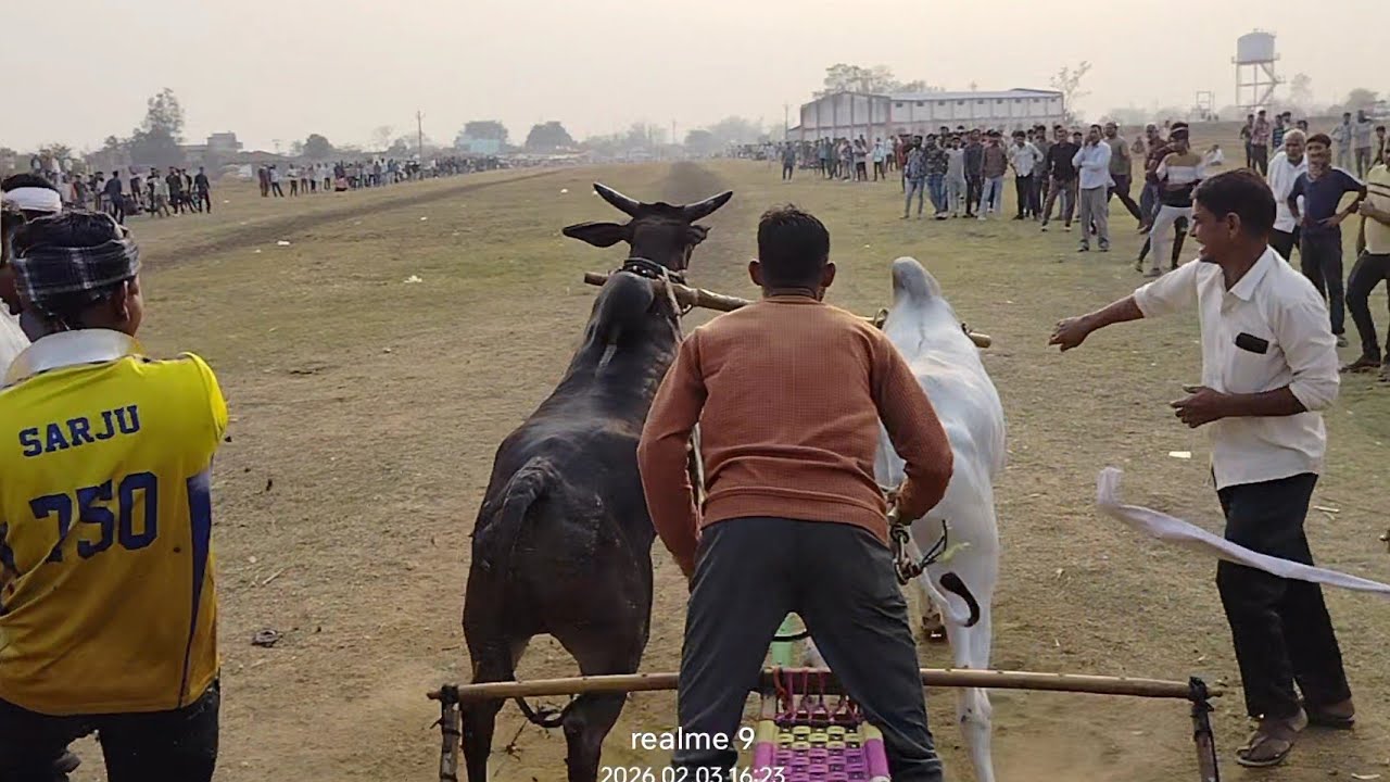 शुक्ला जी सिवनी महाराजा और धोनी खुर्सीपार पट स्टार्टिंग पांईनट विडियो 