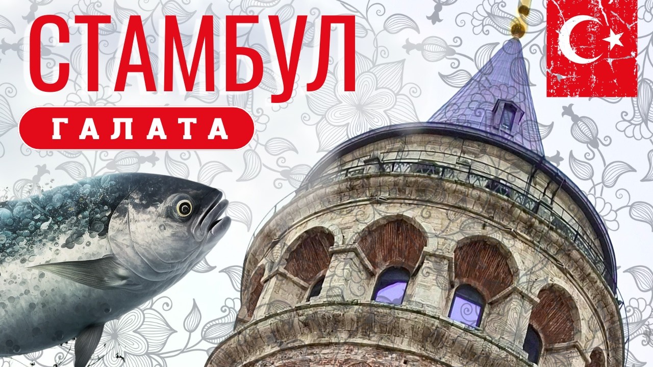 Стамбул 2026 | Галатская башня 🐟 Рыбалка и Галатский мост | Пустая Истикляль и чай с баклавой [Vlog]