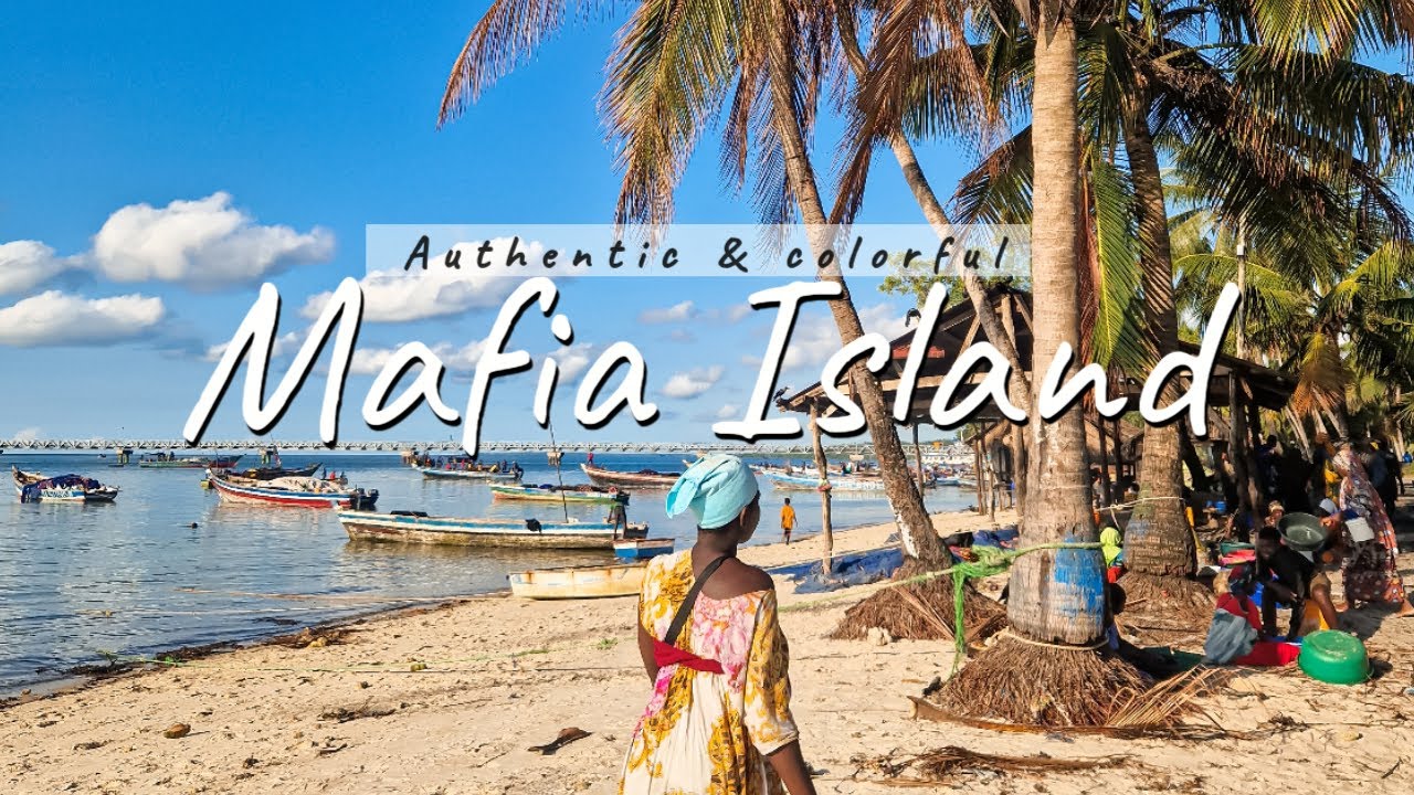 Mafia Island : The true local experience | Tanzania travel vlog [2024]