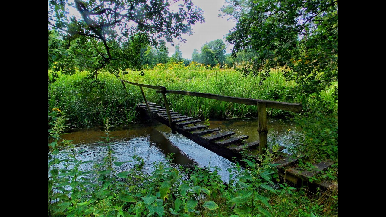 Pamiętnik z wakacji #6   Zwierzyniec