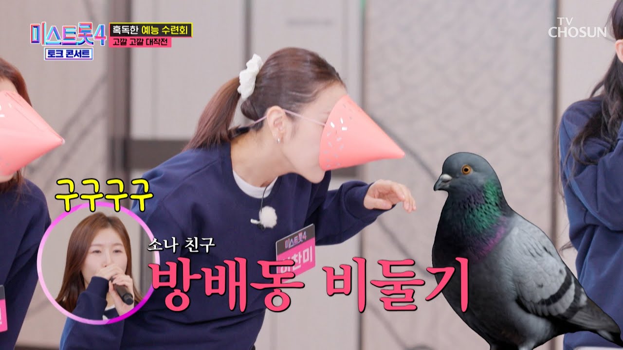 모두 비둘기가 돼🕊 속초에서 펼쳐지는 의자 혈투🪑🔥 TV CHOSUN 260312방송 | [미스트롯4 토크콘서트 – 1회] | TV조선