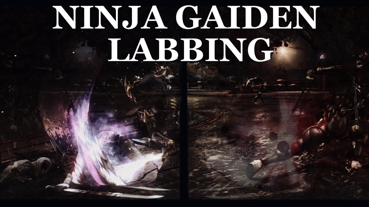 Ninja Gaiden - Labbing
