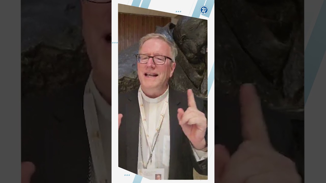 His Excellency Bishop Robert Barron,