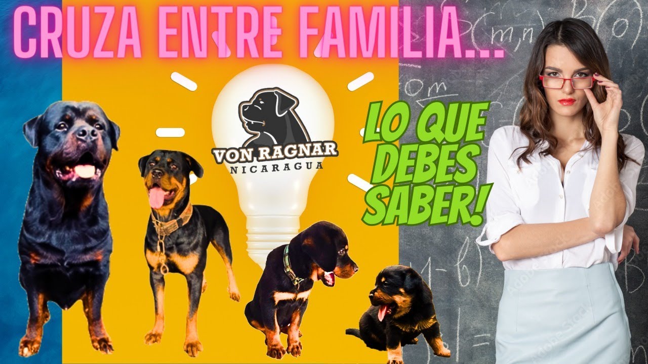 Cómo y Cuando Cruzar 📖Abierto 🔒Cerrado 🎯En Linea