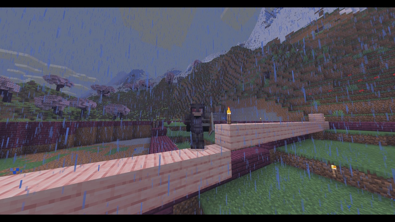 Cacheteamos al Wither con Chanchi😎🌎 l  Minecraft survival
