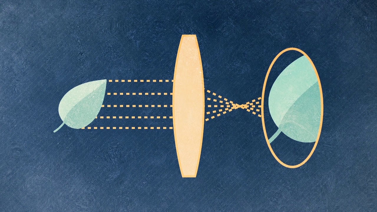Light and Optics IV: Applications of Light