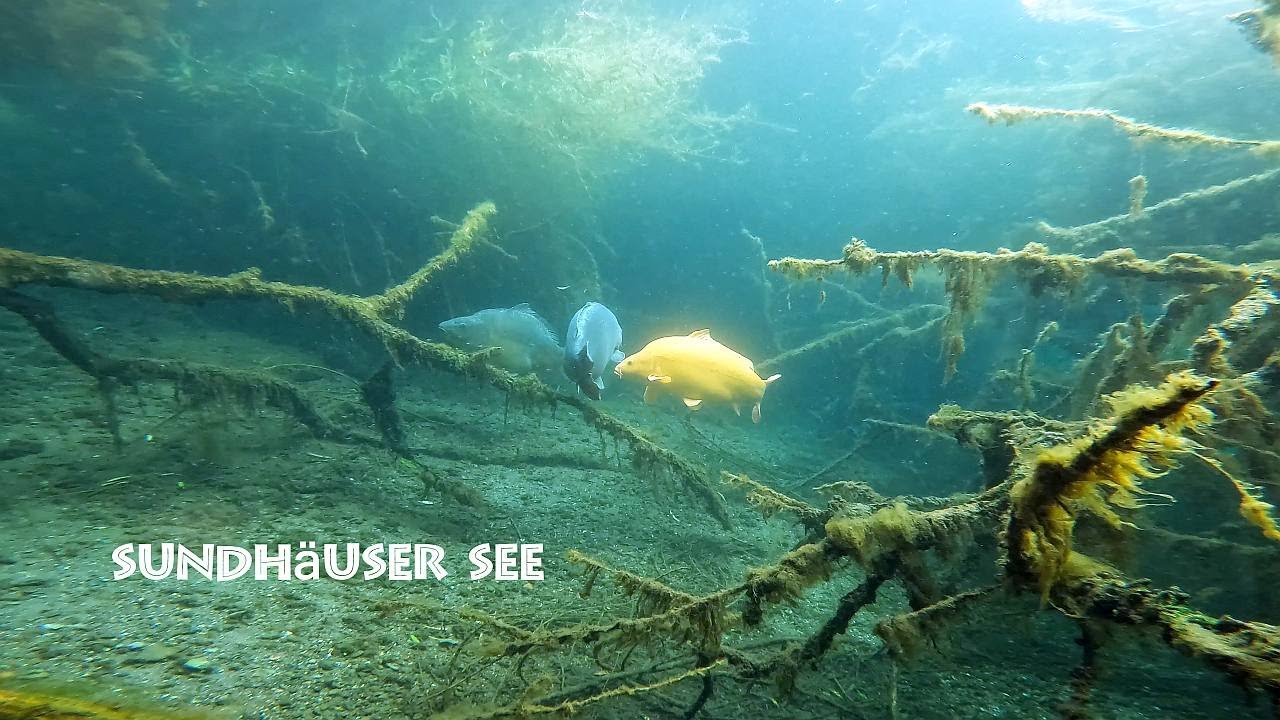 Tauchen im Sundhaüser See