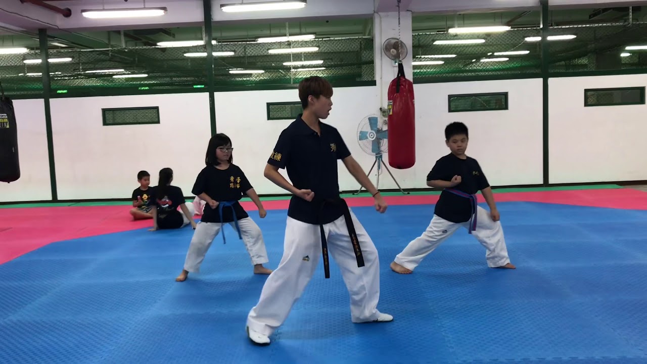 ［跆拳道輕鬆學］五分鐘學會太極五章