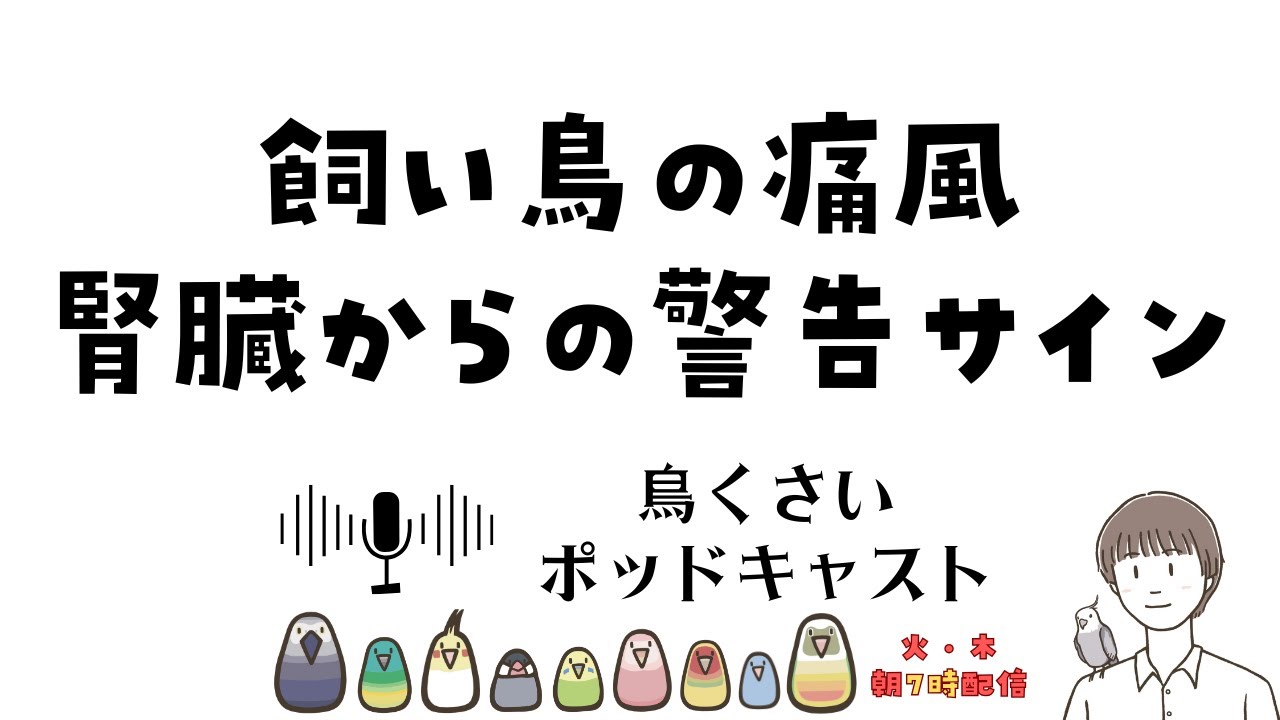 【飼い鳥の痛風】足が痛い、飛べない…｜腎臓からの警告サインと食事で気をつけるべきこと (EP.152)