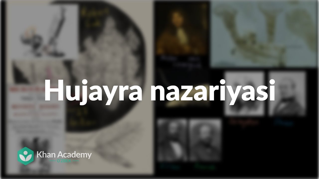 Hujayra nazariyasi | Hujayra strukturasi | Biologiya