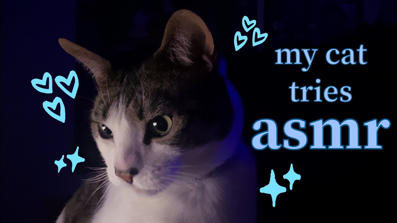 my cat tries ASMR!! 25 minutes of cat purring, crunching, scratching + petting fur sounds + more)