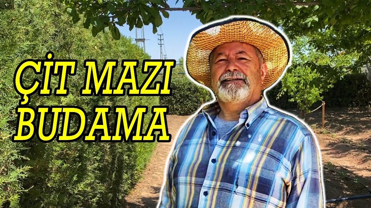 Hobi Bahçesi Düzenleme | 5 - ÇİT MAZI BUDAMA - GARDENA EasyCut Çit Kesme Makinası