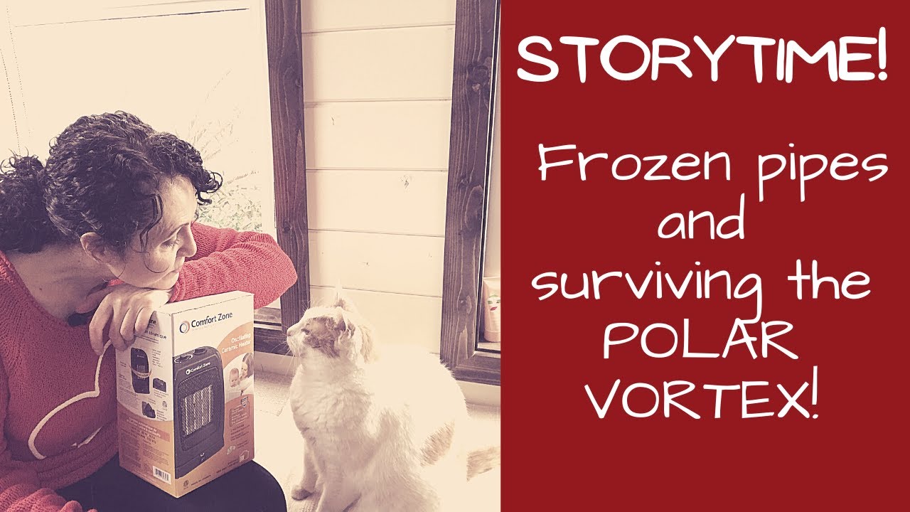 Surviving the Polar Vortex In My Canadian Tiny House On Wheels!
