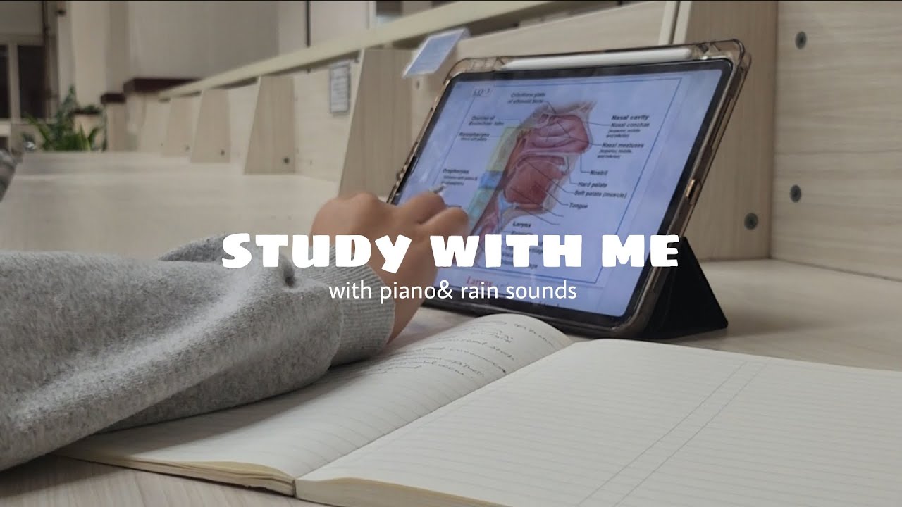 study with me for 1 hour ‧₊˚✩ || ادرس معي لمدة ساعة