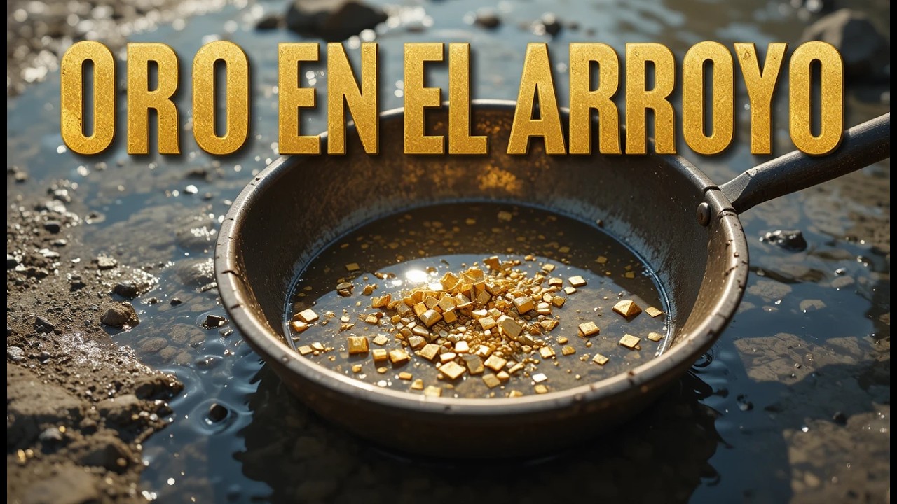 ¡Esta máquina minera de río encuentra pepitas de oro MASIVAS!
