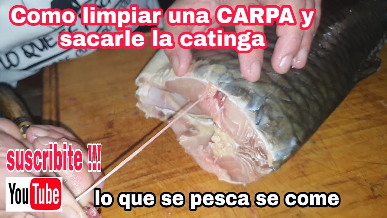 Como limpiar y desgrasar una Carpa 